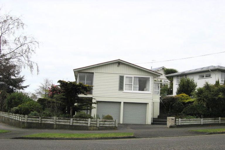 Photo of property in 111 Winchester Street, Levin, 5510