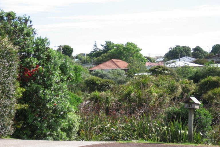 Photo of property in 74 Moa Road, Point Chevalier, Auckland, 1022