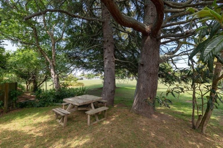 Photo of property in 45 Kakanui Avenue, Hillcrest, Hamilton, 3216