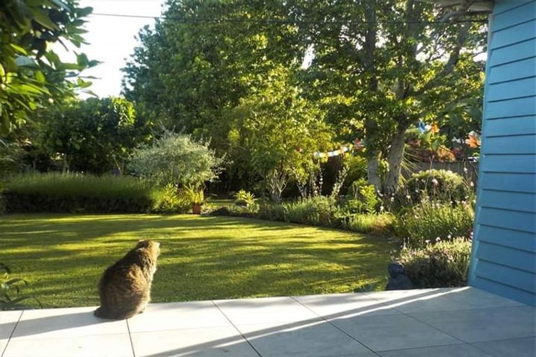 Photo of property in 1/14 Arapiki Road, Stoke, Nelson, 7011