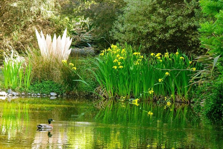 Photo of property in Beckenridge Lodge, 1 Breckenridge Lane, Puketapu, Napier, 4183