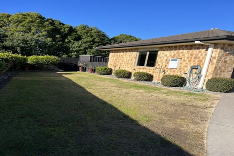 Photo of property in 52 Matipo Street, Matamata, 3400