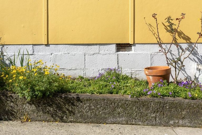 Photo of property in 8 Lignite Street, Huntly, 3700