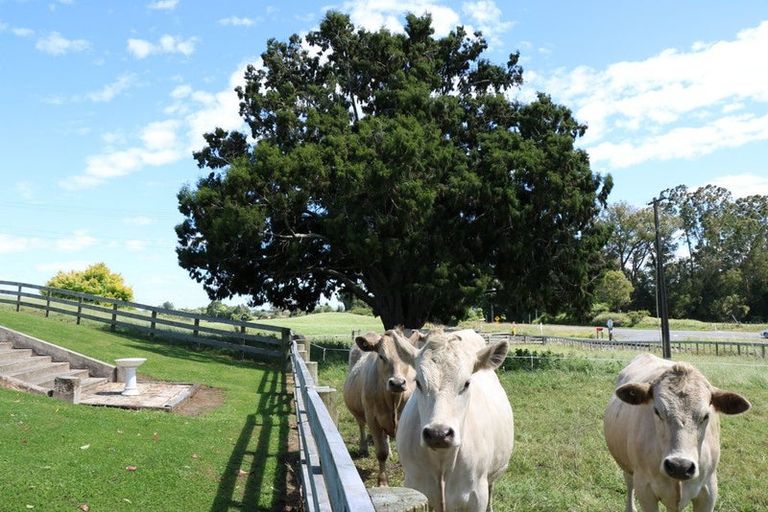 Photo of property in 2220 State Highway 1, Lichfield, Putaruru, 3482