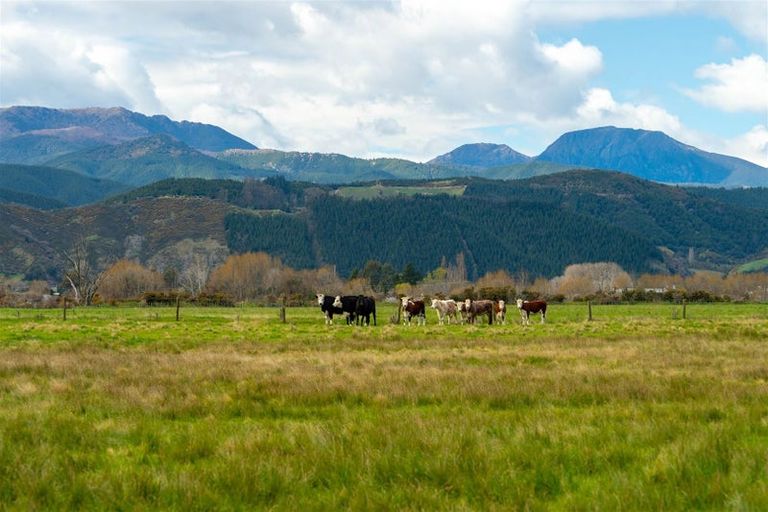 Photo of property in 104 Bryant Road, Brightwater, 7022