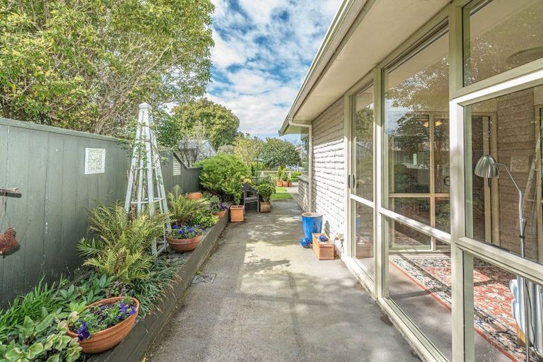 Photo of property in 41 Downes Avenue, Springvale, Whanganui, 4501