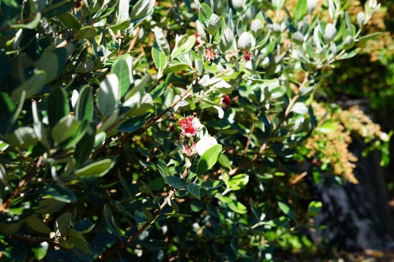 Photo of property in 6 Newport Way, The Brook, Nelson, 7010