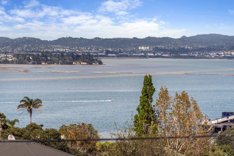 Photo of property in 61 Palmerston Road, Birkenhead, Auckland, 0626