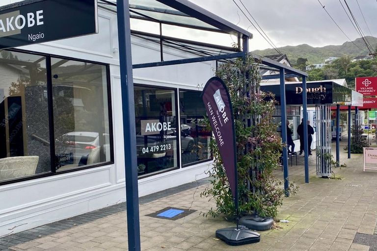 Photo of property in 55 Ottawa Road, Ngaio, Wellington, 6035