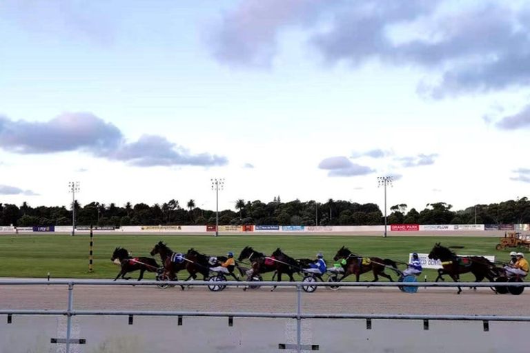 Photo of property in 2/218 Green Lane West, Epsom, Auckland, 1051