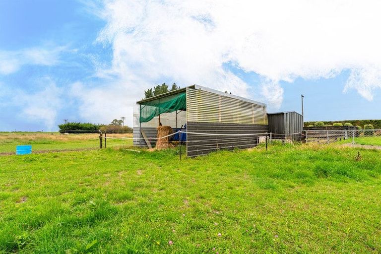 Photo of property in 8 Minnie Street, Waimate, 7980