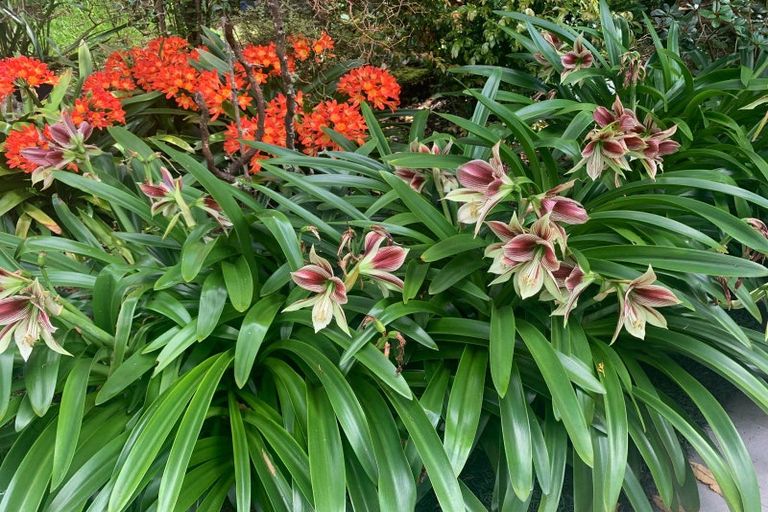 Photo of property in 111 Old Reservoir Road, Karangahake, Paeroa, 3674