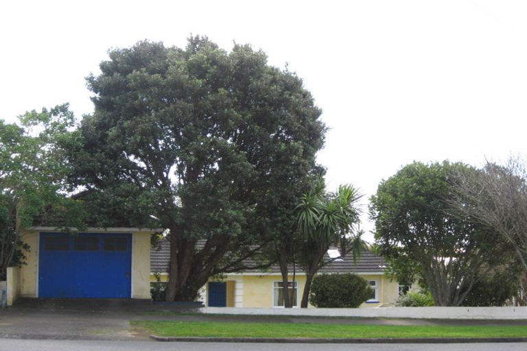Photo of property in 21 Rimu Street, Strandon, New Plymouth, 4312