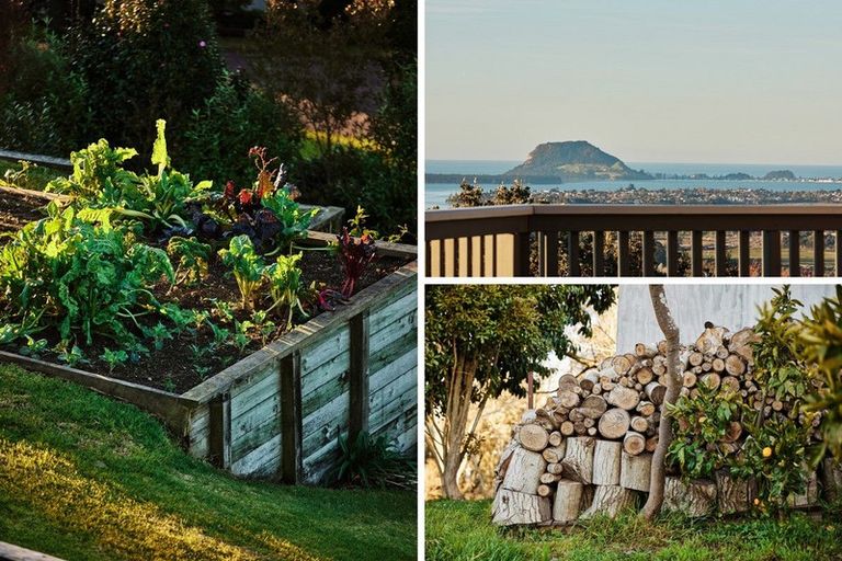 Photo of property in 275b Minden Road, Minden, Tauranga, 3176