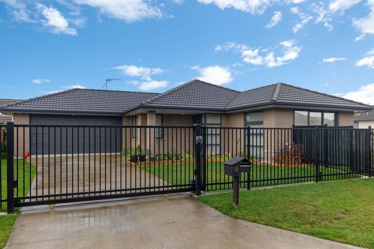 Photo of property in 12 Astor Avenue, Dinsdale, Hamilton, 3204