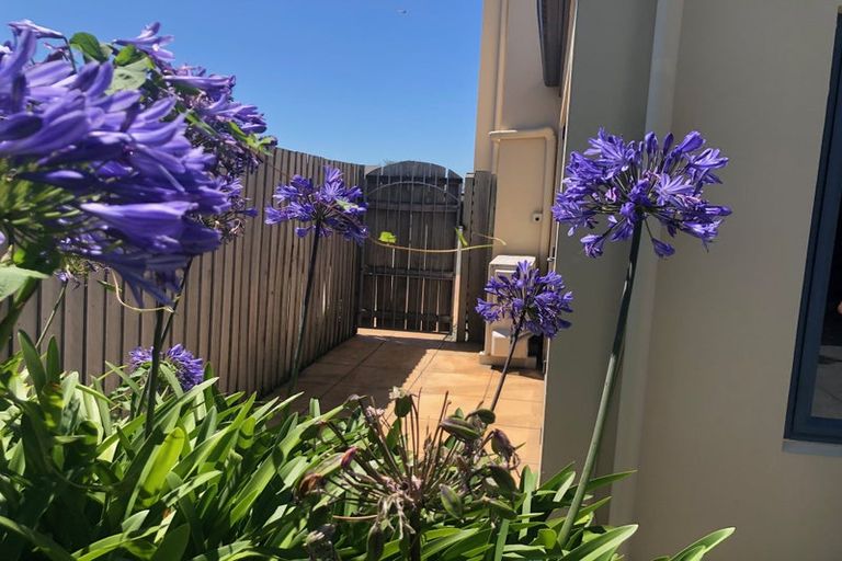 Photo of property in 72 Wharenui Road, Upper Riccarton, Christchurch, 8041