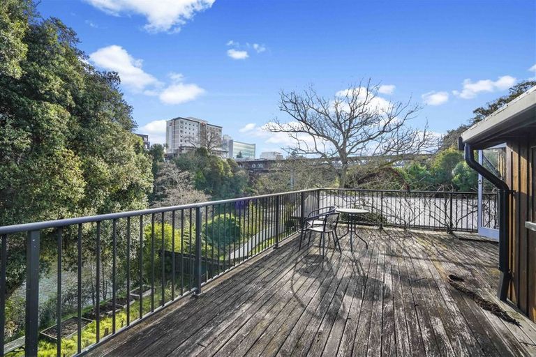 Photo of property in 31 Opoia Road, Hamilton East, Hamilton, 3216