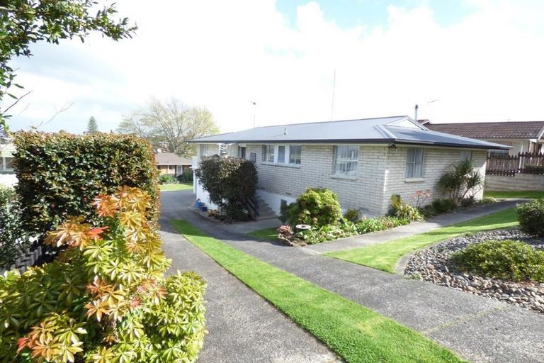 Photo of property in 205 Douglas Avenue, Te Awamutu, 3800