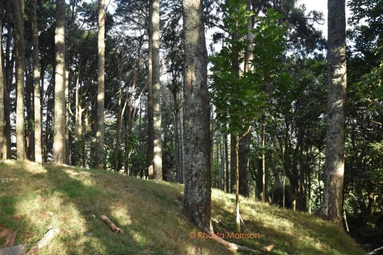 Photo of property in 59 Ariels Lane, Paparoa, Maungaturoto, 0583