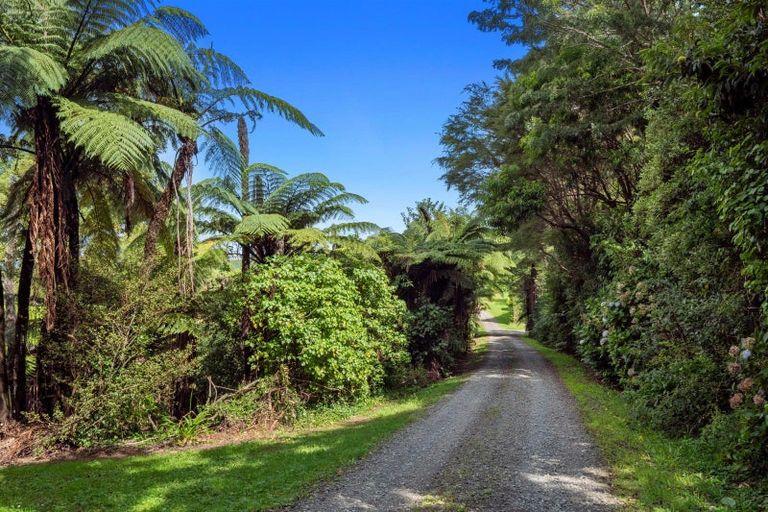 Photo of property in 40 Killen Road, Tahawai, Katikati, 3178