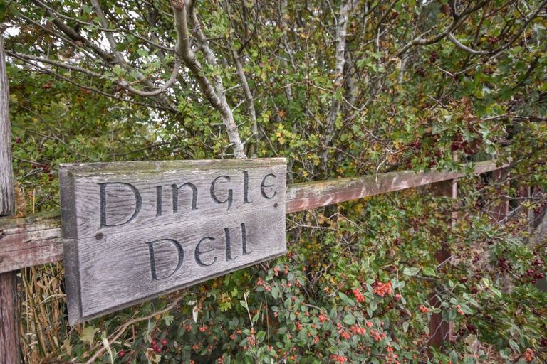 Photo of property in 369 Maungatua Road, Woodside, Outram, 9073