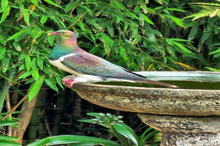 Photo of property in 45 Rongomau Lane, Raumati South, Paraparaumu, 5032