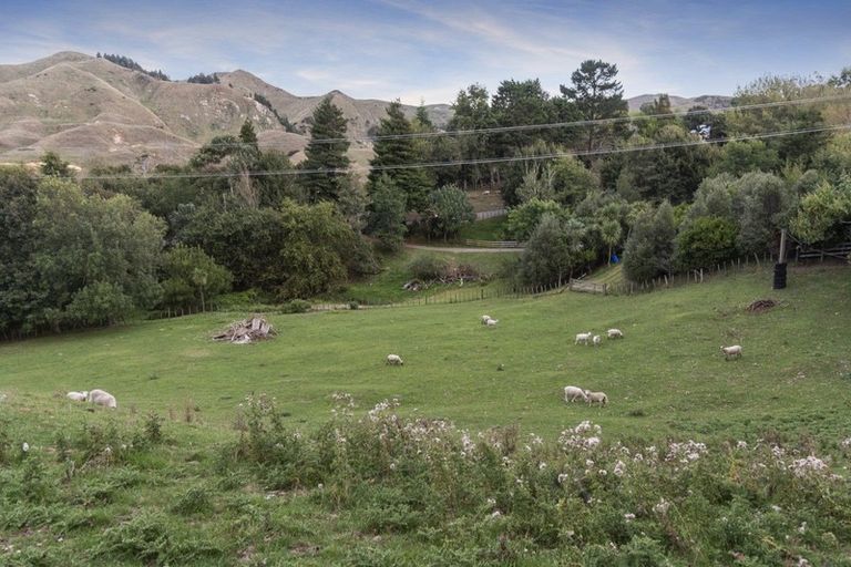 Photo of property in 1964a State Highway 23, Whatawhata, Hamilton, 3293