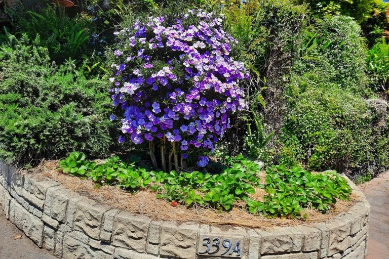 Photo of property in 339a Devon Street West, New Plymouth, 4310