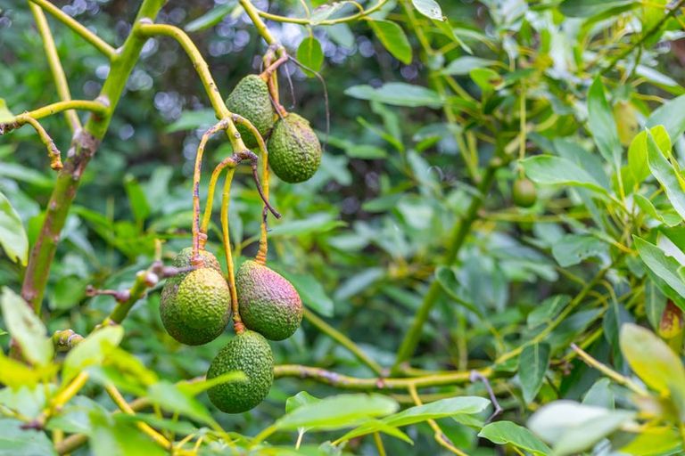 Photo of property in 65 Killalea Place, Paraparaumu, 5032