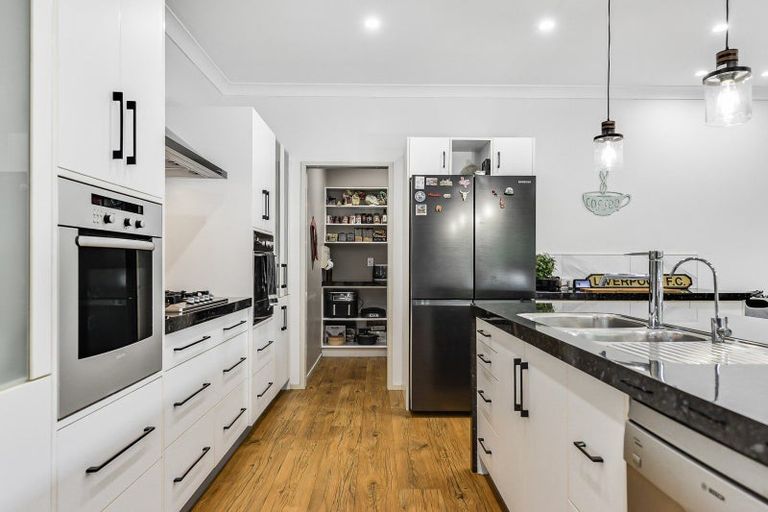 Photo of property in 43 The Esplanade, Huntington, Hamilton, 3210