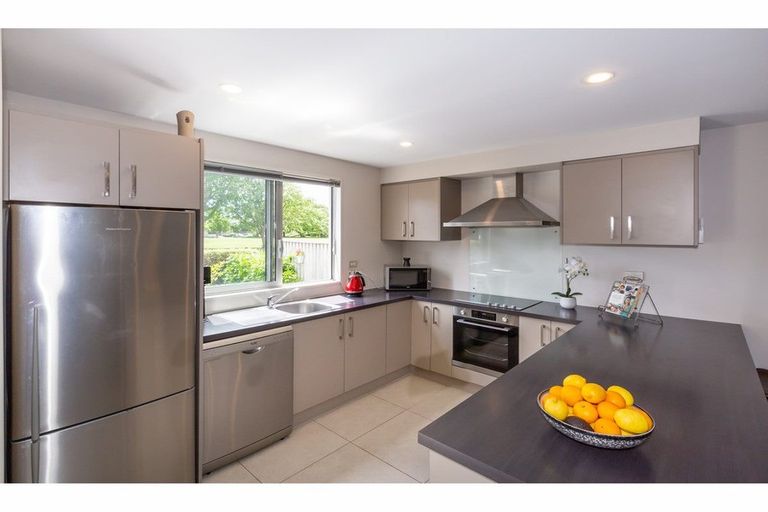 Photo of property in 8 Yew Tree Lane, Hillmorton, Christchurch, 8024