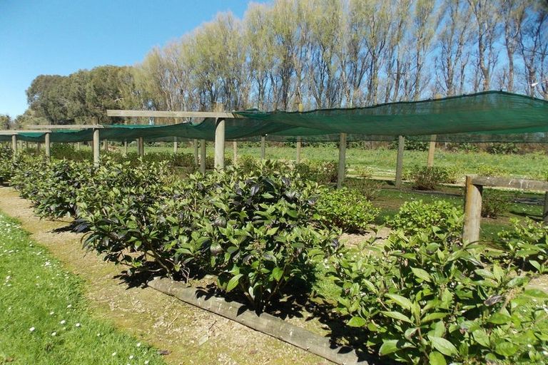 Photo of property in 22 Walkers Road, Longburn, Palmerston North, 4477