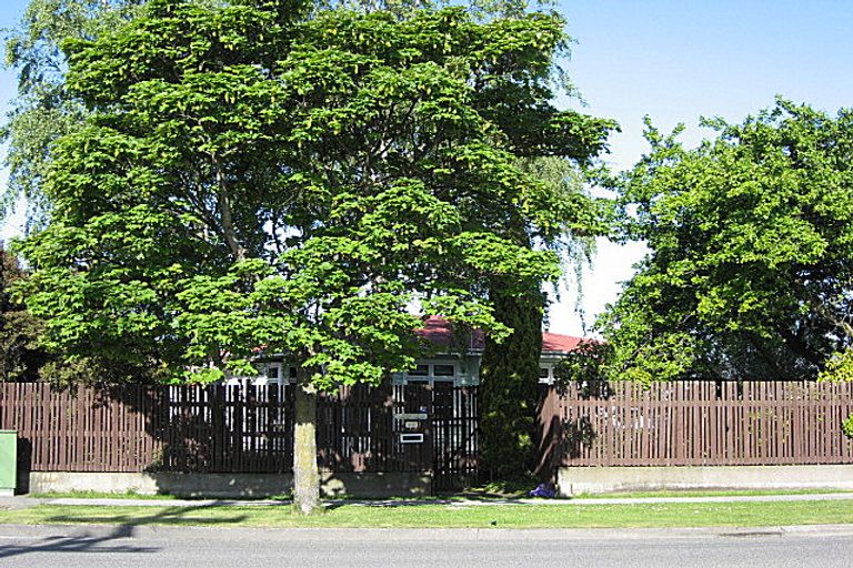 Photo of property in 73 Howick Road, Redwoodtown, Blenheim, 7201