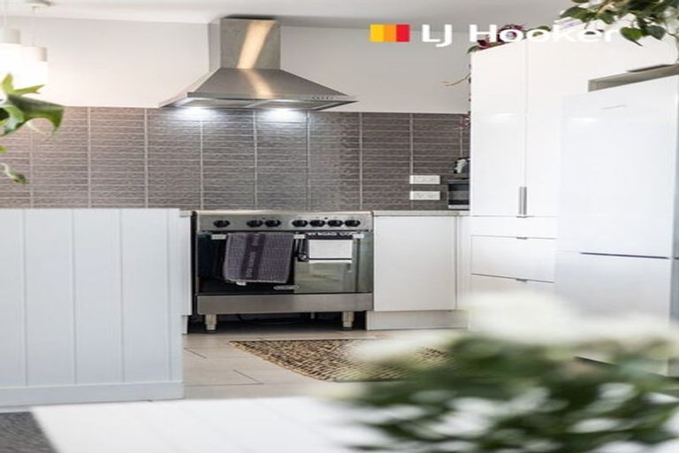 Photo of property in 19 Begg Street, Saint Kilda, Dunedin, 9012