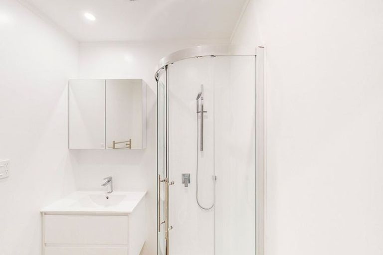 Photo of property in 195a Vivian Street, Te Aro, Wellington, 6011