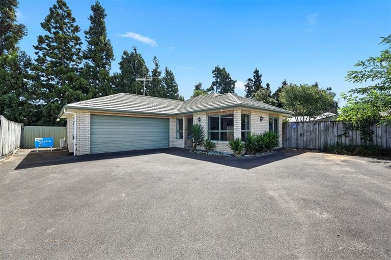 Photo of property in 12 Hastings Place, Hamilton Lake, Hamilton, 3204