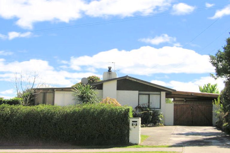 Photo of property in 12 Cumberland Street, Tauhara, Taupo, 3330