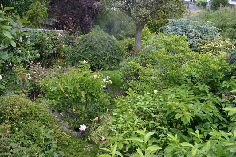 Photo of property in 12 Ure Street, South Hill, Oamaru, 9400