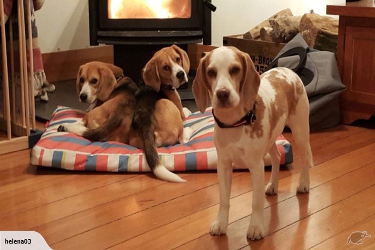 Photo of property in 30 Belvedere Road, Hataitai, Wellington, 6021