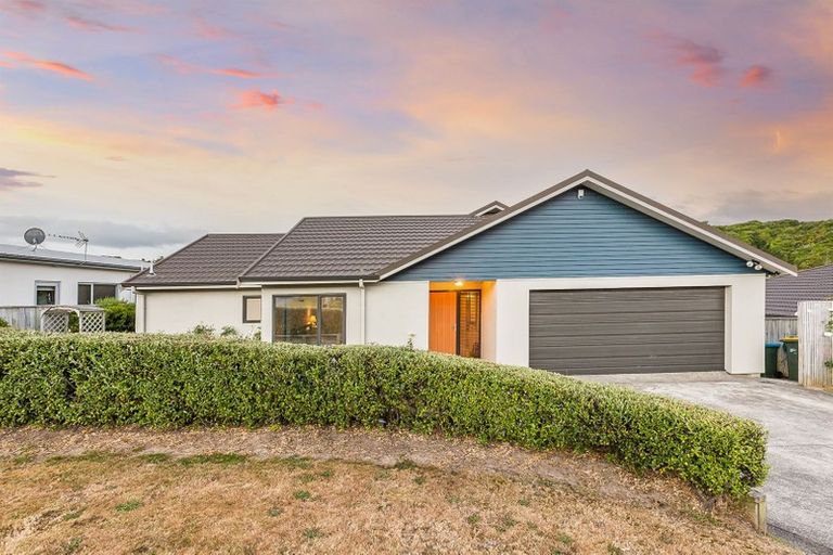 Photo of property in 45 Te Puia Drive, Aotea, Porirua, 5024