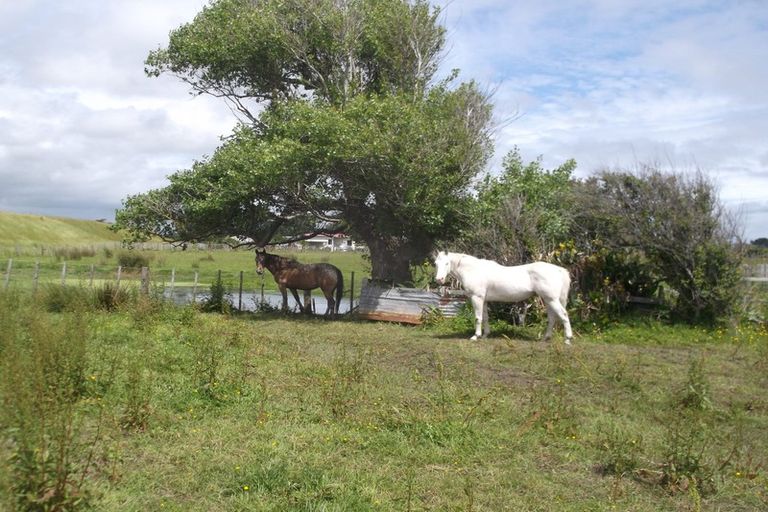 Photo of property in 41 Nuku Street, Tangimoana, 4822