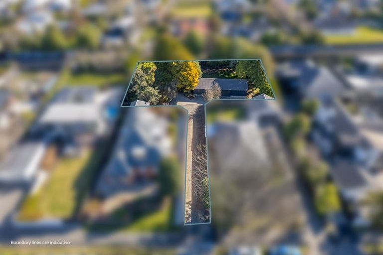 Photo of property in 41 Clifford Avenue, Merivale, Christchurch, 8014