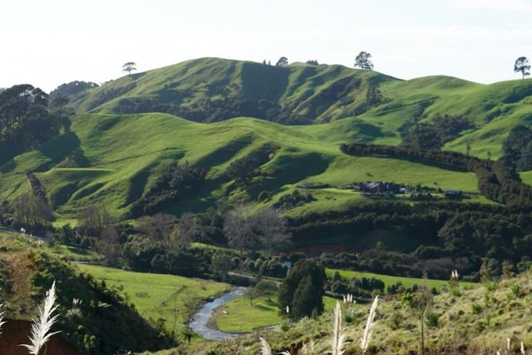 Photo of property in 388 Wentworth Valley Road, Whangamata, 3691