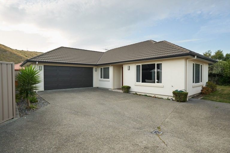Photo of property in 11b Merlot Drive, Greenmeadows, Napier, 4112