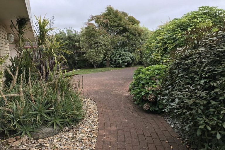 Photo of property in 59b Bayfair Drive, Mount Maunganui, 3116