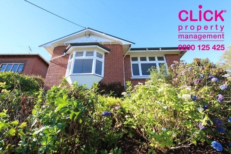 Photo of property in 58 Lonsdale Street, Belleknowes, Dunedin, 9011