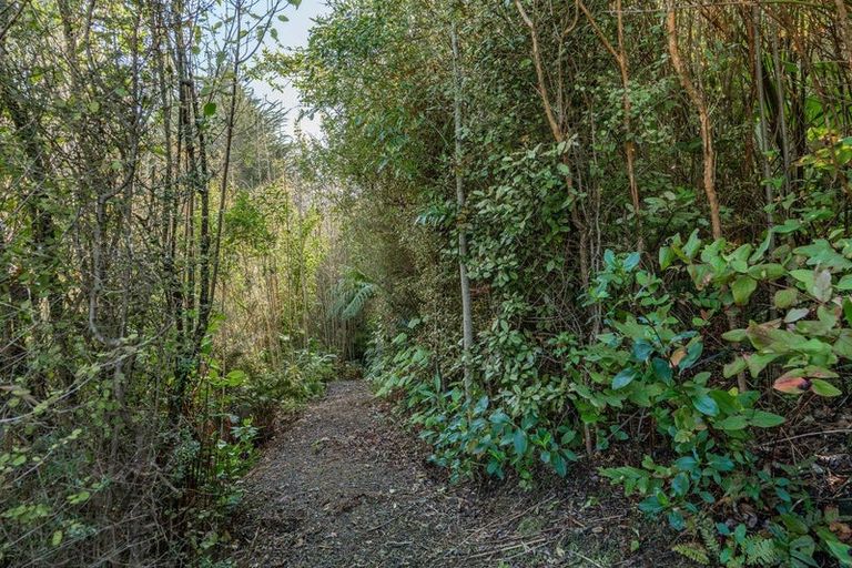 Photo of property in 38 Patmos Avenue, Woodhaugh, Dunedin, 9010