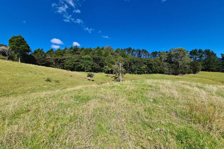 Photo of property in 1702 Colville Road, Amodeo Bay, Coromandel, 3584
