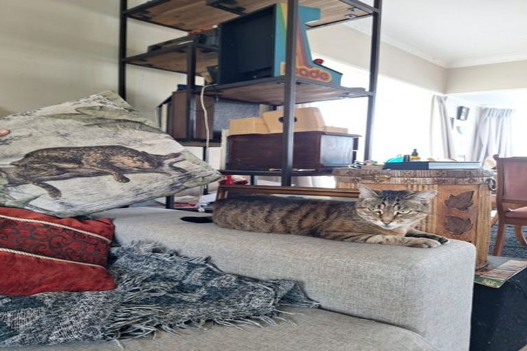 Photo of property in 8 Ellen Avenue, Hillcrest, Auckland, 0627