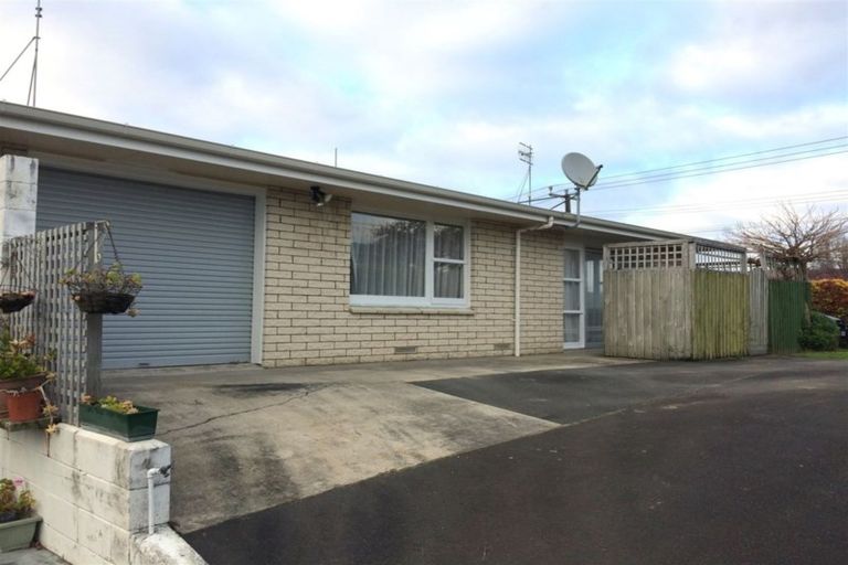Photo of property in 117 Bellevue Road, Brookfield, Tauranga, 3110